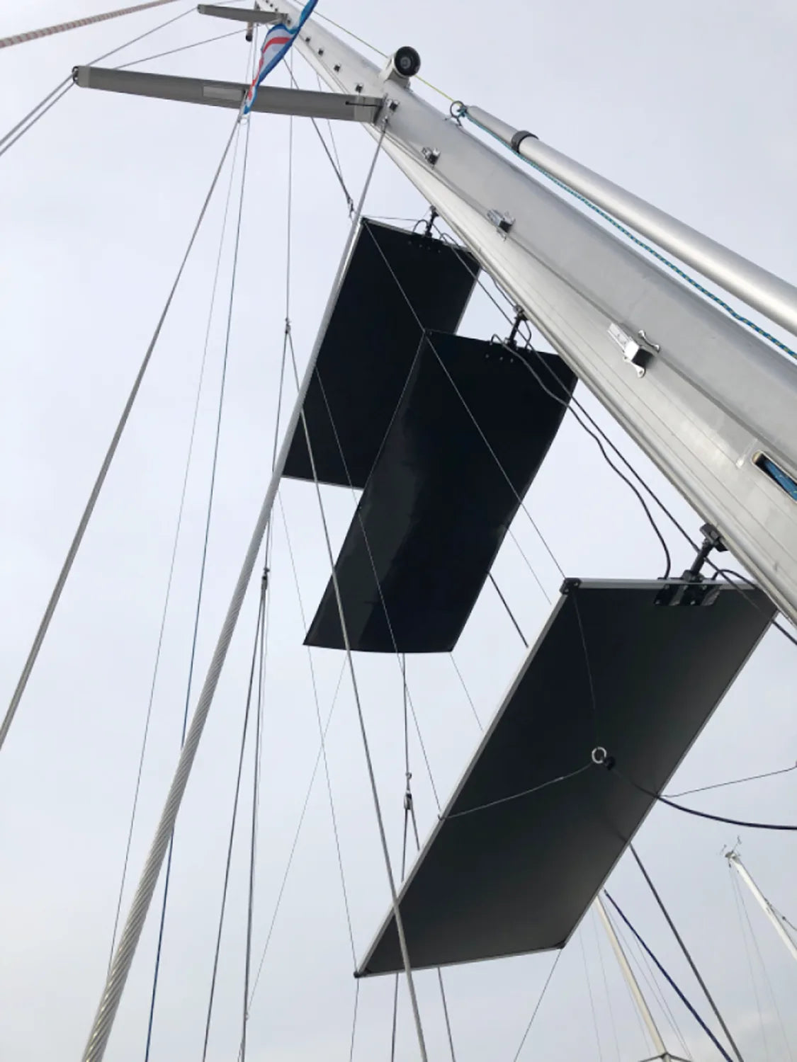 „King of Lions setzt voll auf Strom“